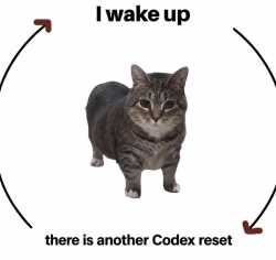 589 KB
