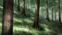 2.42 MB
