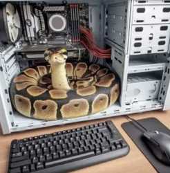 75 KB