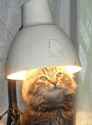 92 KB
