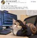 2.94 MB