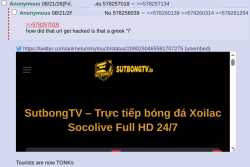 252 KB