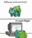 81 KB