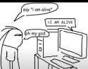 35 KB