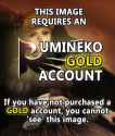 590 KB