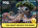 1.31 MB