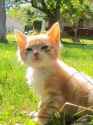 80 KB