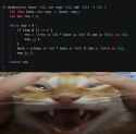 145 KB