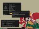 227 KB