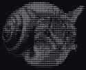 29 KB