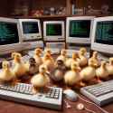 197 KB