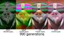 755 KB