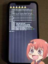 303 KB
