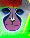 Rule 34 Rule 34 Image