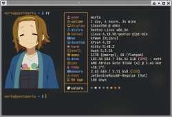 252 KB