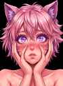 1.73 MB