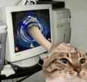 532 KB