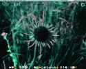 05 desktop 1-17-05