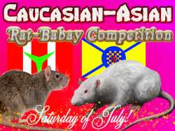 caucasian-asian rat babay competition