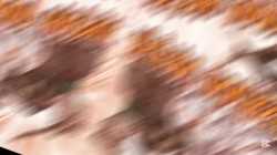 so1k1OcjFRN-z-0-y-67c21b376dca6e7eaf3c0fbd (1)