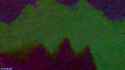 Corners[]_005.webm