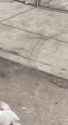 1.6 MB