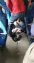 3.91 MB