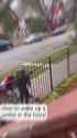 3.78 MB