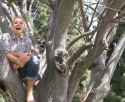 1.54 MB