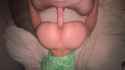 3.31 MB