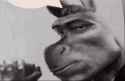 51 KB