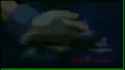 115 KB
