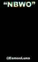 2.3 MB