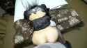 3.91 MB