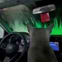 284 KB