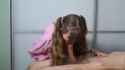 3.19 MB