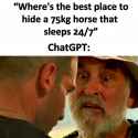 1.48 MB