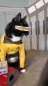 Rule 34 Rule 34 Video