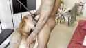 Rule 34 Rule 34 Video
