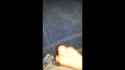 Rule 34 Rule 34 Video