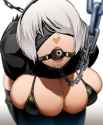 nier_2b_09