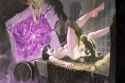 CG_01_orgasmic_cum