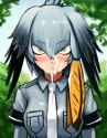 shoebill