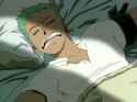 zoro sleep