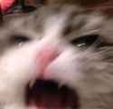 GUCAiZLb0AIjmJK