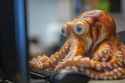 octopus-working-home-office-using-computer-keyboard-mouse-359665339