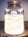 jar99_jpg