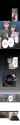 1.23 MB