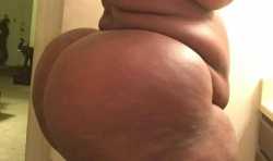 Black bbw butts