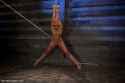 skin_diamond_crotchrope (1)